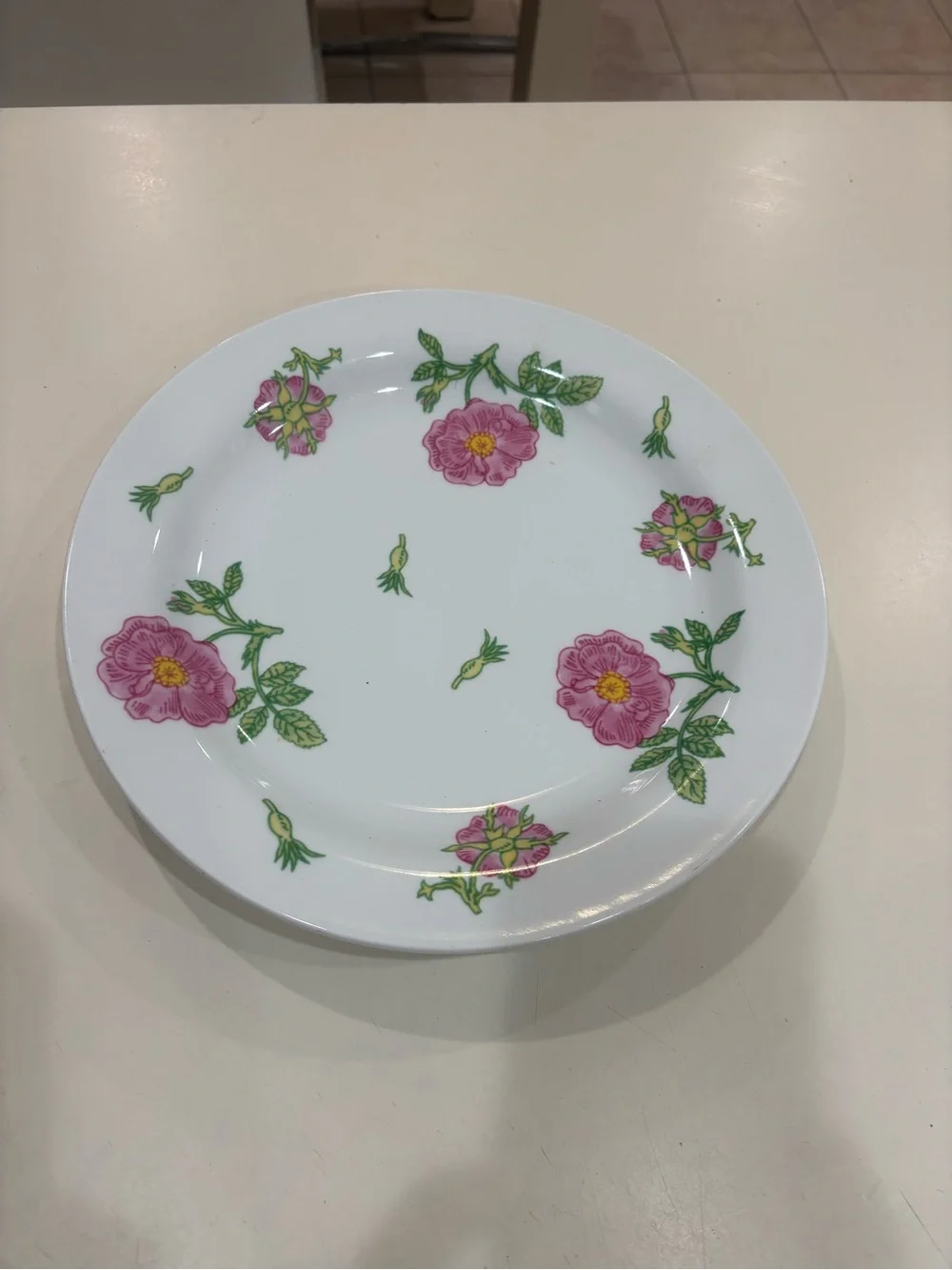 Rare Richard Ginori Italy plates